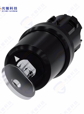 3SU10005BF110AA0 《KEY SW, 2POS, MTND, KEY REMOVAL》