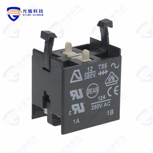 A02503 《CONTACT BLOCK DPST-NO 16A 250V》