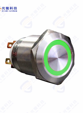 AH1NBSG24 《SWITCH ANTI-VANDAL PB, 19MM, SPS》