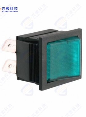 C1353AABG2 《SWITCH ROCKER DPST 20A 250V》