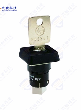 1.15156.0110000 《SWITCH KEYLOCK SPST-NO 0.1A 35V》