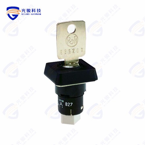 1.15156.0010000 《SWITCH KEYLOCK SPST-NO 0.1A 35V》