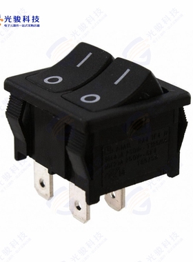 RA21131121 《SWITCH ROCKER SPSTX2 10A 125V》