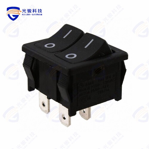 RA21131121 《SWITCH ROCKER SPSTX2 10A 125V》