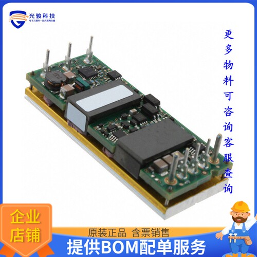 ESTW004A2C41-HZ电源模块【DC DC CONVERTER 15V 63W】
