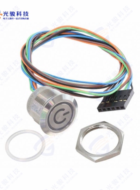 AVC19LS04FE1DT5A04 《SWITCH PUSHBUTTON SPST 1A》