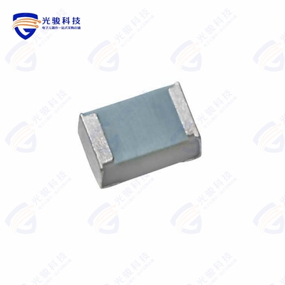 PTS080501B100RPU00《SENSOR RTD 100OHM 0805》