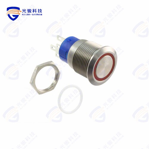 AV1920E324Q04 《SWITCH PUSHBUTTON DPDT 3A 250V》
