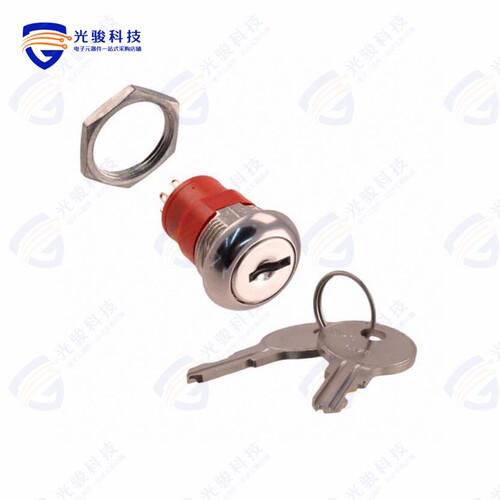 Y208122A203NQ 《SWITCH KEYLOCK 2POS DPDT 4A 125V》