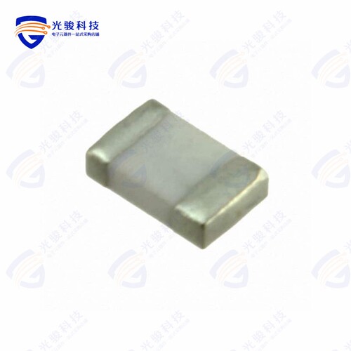 702-101BBB-A00《SENSOR RTD 100OHM 0.12% 2SMD》
