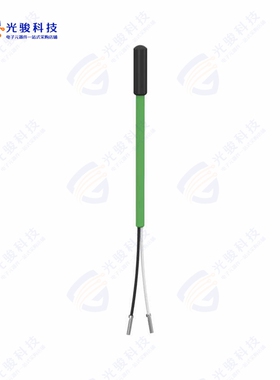 TM1STPTTSN52030《PT1000 3,0M IP68 5X20 -50+110C G》