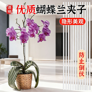最新款蝴蝶兰夹子固定造型花卉夹子花卉兰花夹子植物细花最新款