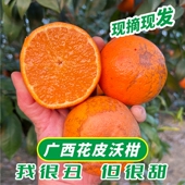 广西正宗武鸣花皮沃柑 丑但是很甜哦 鲜摘现发 武鸣沃柑 8斤装