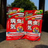 日本进口住友杀介蚧壳虫根腐煤烟黑星病斑蚜虫红蜘蛛预防病虫