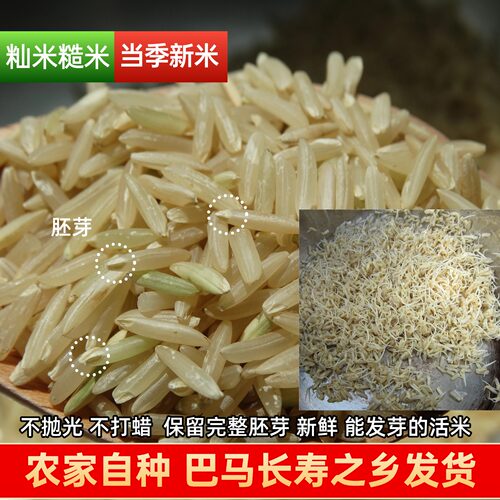 26年新米巴马农家糙米胚芽活米留胚米五谷粗粮杂粮熬米油500克