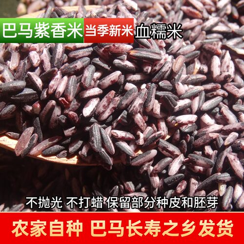 巴马农家自种紫米紫糯米血糯米