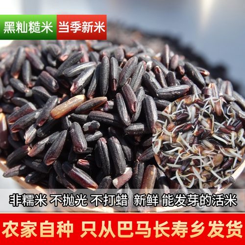 巴马25年农家新米黑籼糙米非糯米