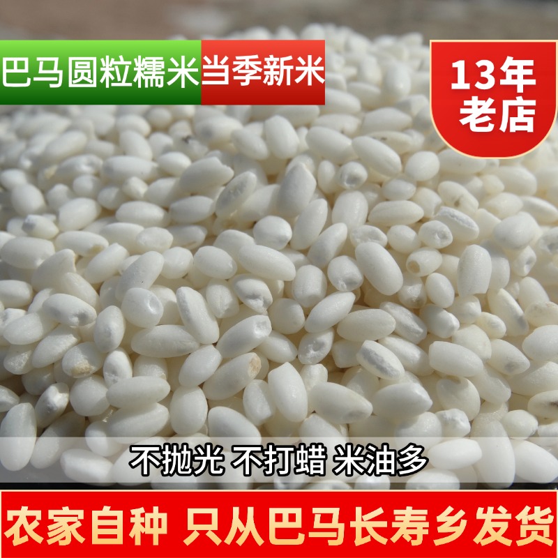 巴马农家糯米圆粒长粒白糯米新米