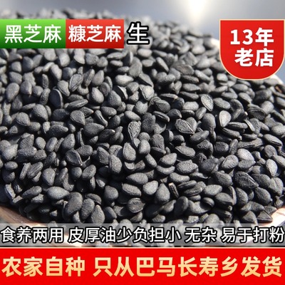 农家老品种小颗粒黑芝麻药食两用