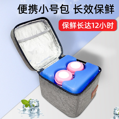 小号背奶包便携母乳保鲜冷藏装备