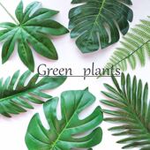 仿真树叶拍照背景道具北欧个性 主播房间背景手拿绿叶 拍摄摆设欧式