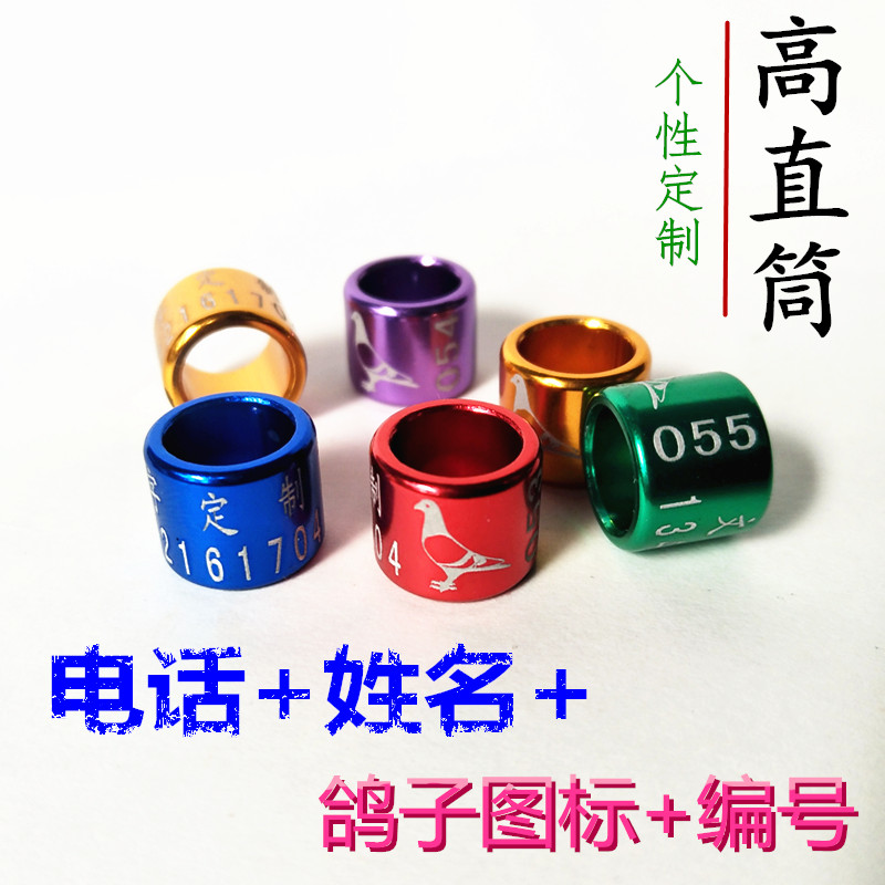 定制信鸽子鹩哥高飞直筒定做