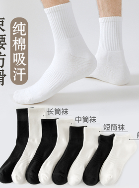 袜子男秋冬纯棉黑色中筒袜毛巾底加厚防臭吸汗运动长筒袜白色短袜
