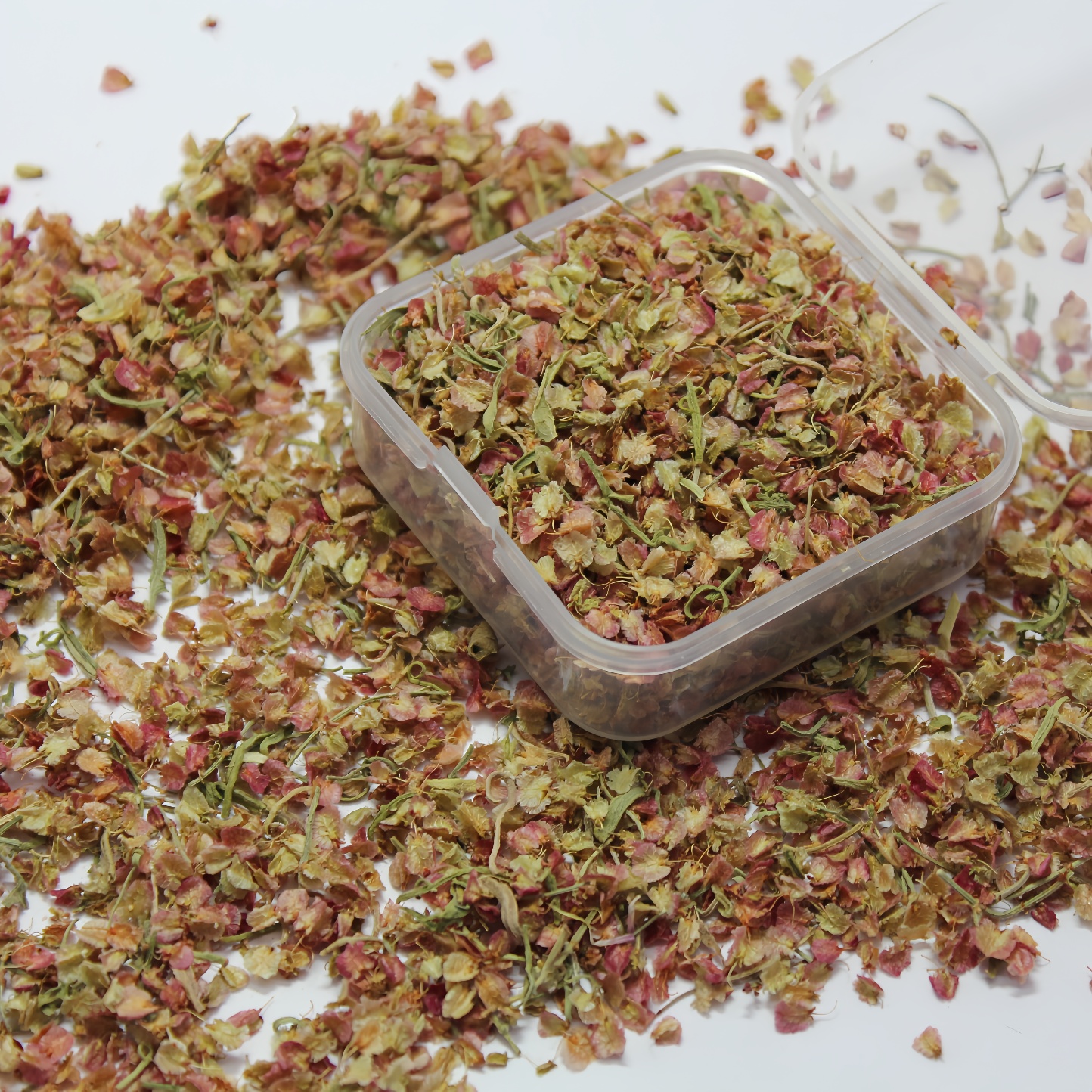 情景树叶模型枯叶真实植物造景