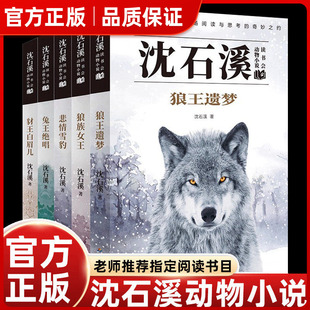 正版全集沈石溪动物小说狼王梦狼族女王悲情雪豹兔王绝唱豺王白眉儿小学生三四五六年级课外书读老师推荐阅读生命和成长的故事书㟫