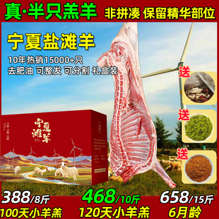 羊肉新鲜宁夏滩羊半只羊整只羊盐池全羊羊排内蒙古新疆滩羊肉10斤