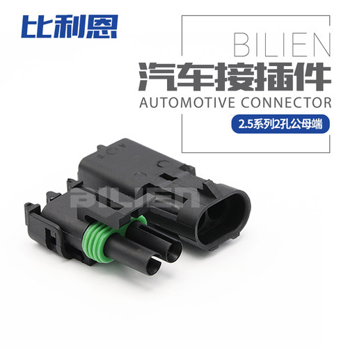 12010973 2孔公母连接器德尔福型 DJ3021Y-2.5-11/21插头12015792