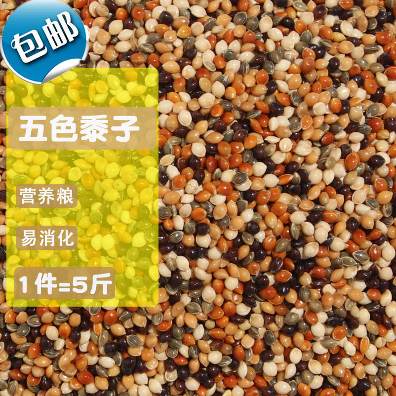 5斤 黑.白.红.黄.青 黍子 5色混合 虎皮牡丹鹦鹉鸟食鸟粮饲料包邮