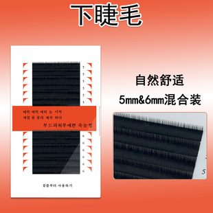 6mm 种植假眼睫毛0.1粗J翘柔软自然 混装 嫁接下睫毛