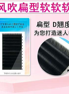 单根D翘扁睫毛嫁接风吹软