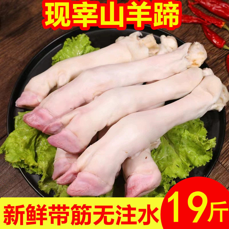 新鲜羊蹄子山羊蹄冷冻2斤19斤整箱商用整只生爪子羊肉蹄子鲜羊脚
