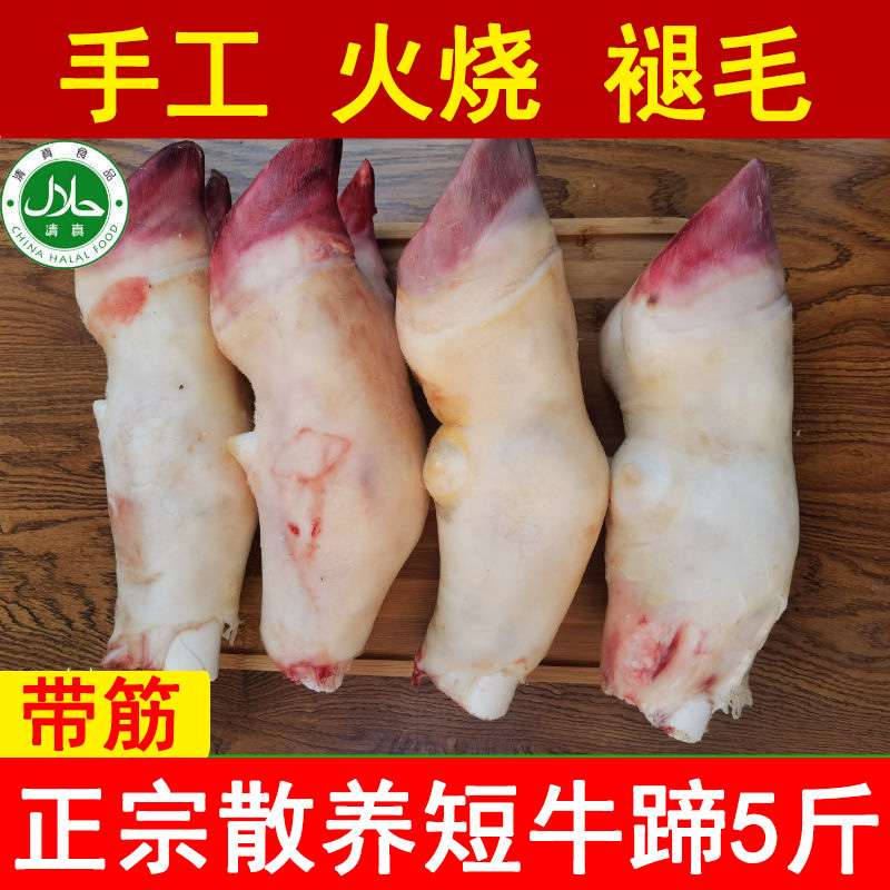 5斤新鲜短牛蹄块农家散养黄牛蹄子脚带牛蹄筋冷冻火烧去毛短牛脚