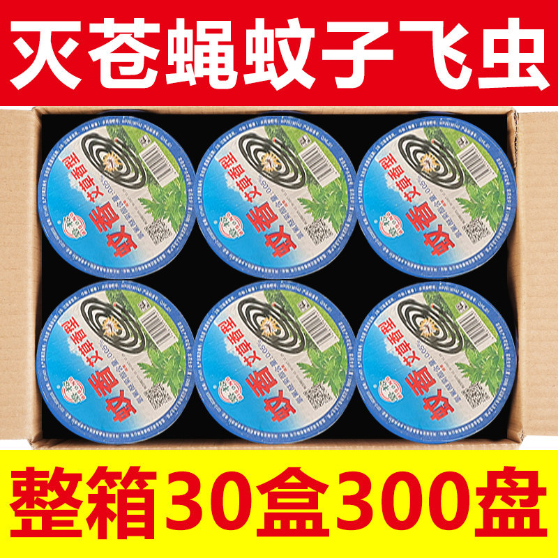 整箱小飞虫饭店蚊蝇香王