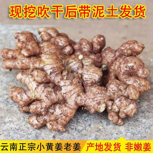 云南正宗小黄姜新鲜农家自种