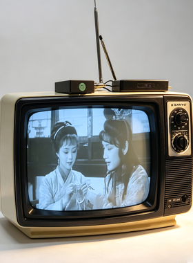 80年代三洋12寸黑白电视U盘