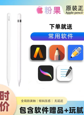 苹果ApplePencil一代二代笔官方二手原装正品pencilPro笔重力压感