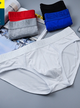 2条装男士三角内裤 莫代尔薄款彩色低腰U凸潮男舒适贴身三角内裤