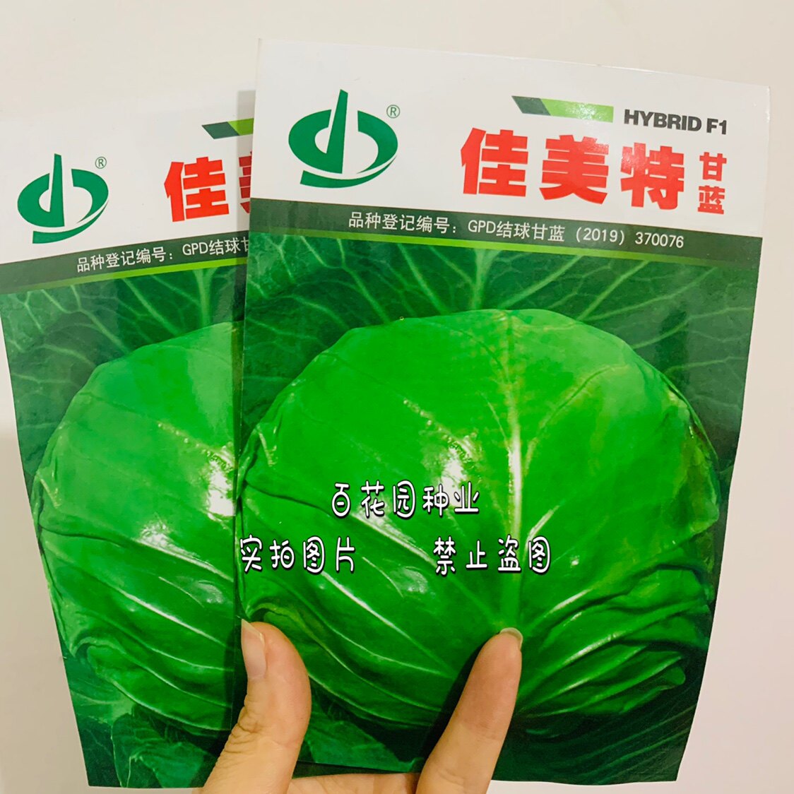 天瑞佳美特甘蓝种籽春秋甘兰包头菜种子大田高产蔬菜种籽孑包菜籽