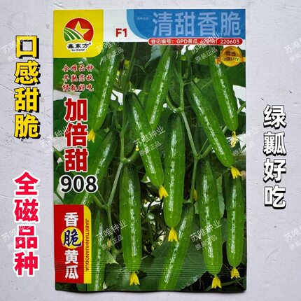 加倍甜908黄瓜种子香脆绿肉全雌水果黄瓜种子甜脆清香绿瓤黄瓜种