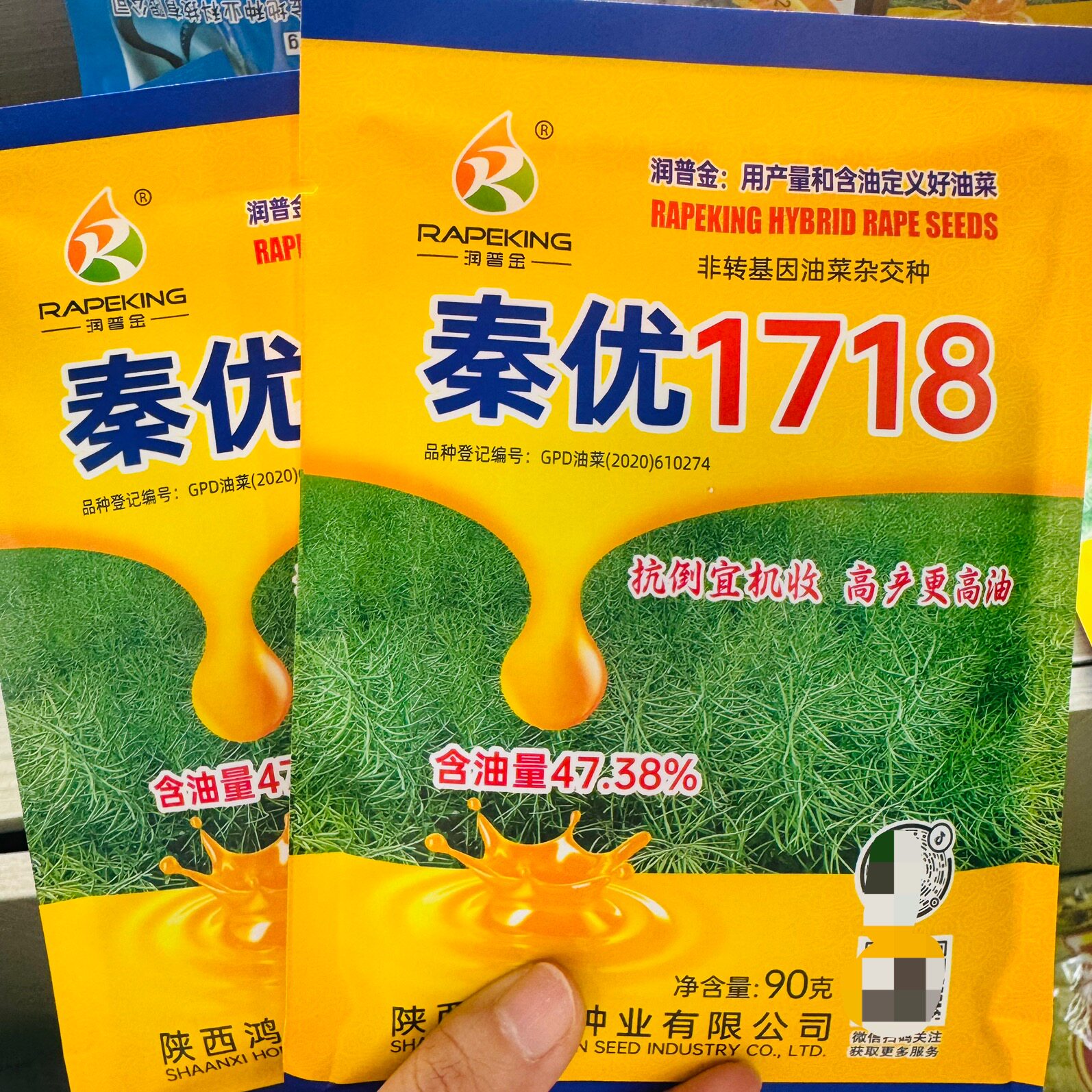 秦优1718油菜种子抗病抗倒伏高产高油抗裂大田种籽基地甘蓝