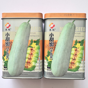 苏瑞日本甜宝甜瓜羊角蜜种子春夏秋蔬菜种籽高产高甜香瓜种子包邮