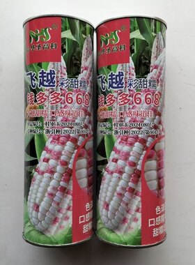 飞越彩甜糯玉米种子 钱多多668玉米种籽高产大田春季花彩玉米种子