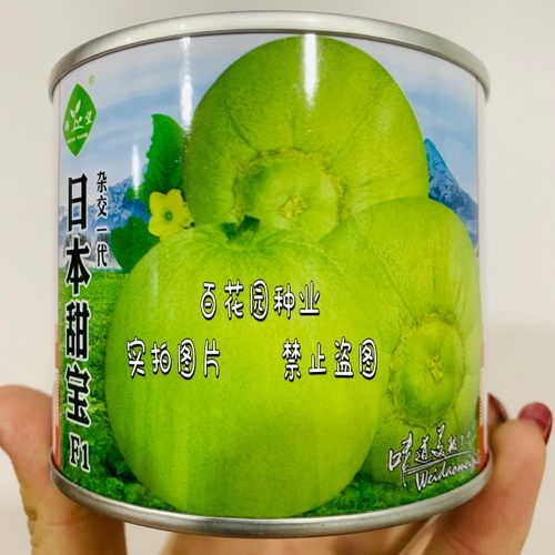 科乐杂交一代甜瓜种子改良型日本甜宝 极早熟型大果型 糖度高达18