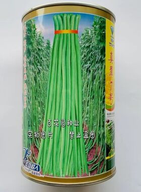 真翠7号豇豆种子翠绿肉厚长豆角种子 高产耐热耐湿特长绿豆角种籽