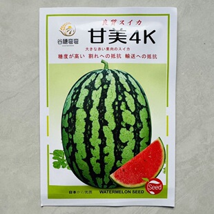 甘美4K西瓜种子中早熟西瓜种籽花皮椭圆硬薄皮耐贮运大田西瓜种孑