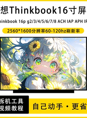 联想Thinkbook16p G2/3/4/5/6/7/8 ACH IAP APH IRX笔记本IPS屏幕